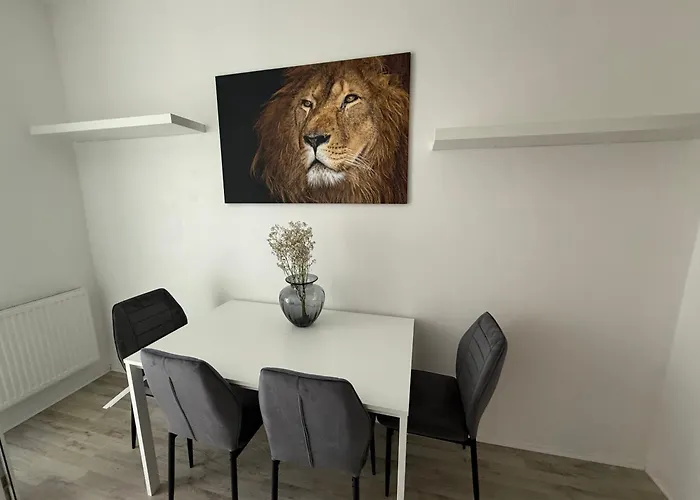 Apartman Deluxe Frohnhausen 1 Essen